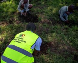 A volunteer in a high-visibility vest planting a tree seedling.